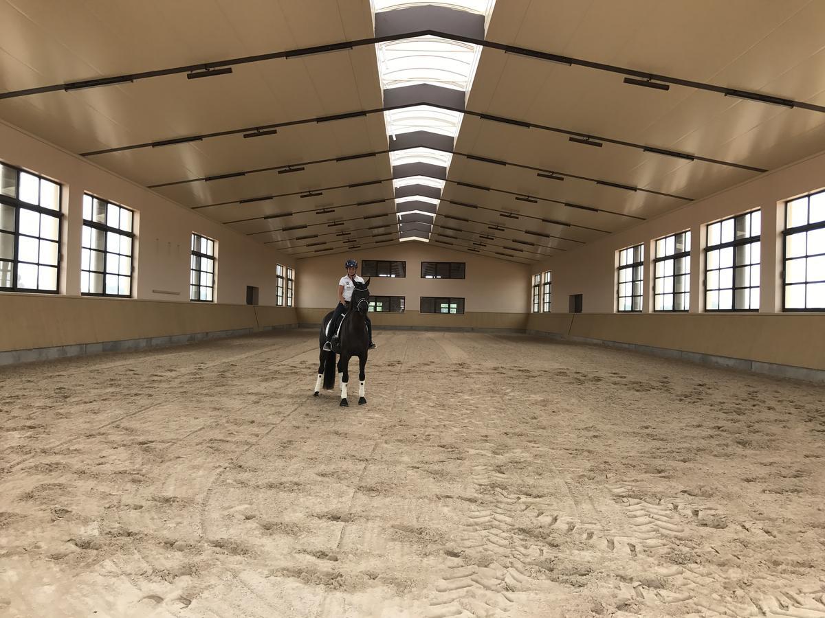 Vmg Horse Ranch (Adults Only) Llucmajor (Mallorca) Exterior foto
