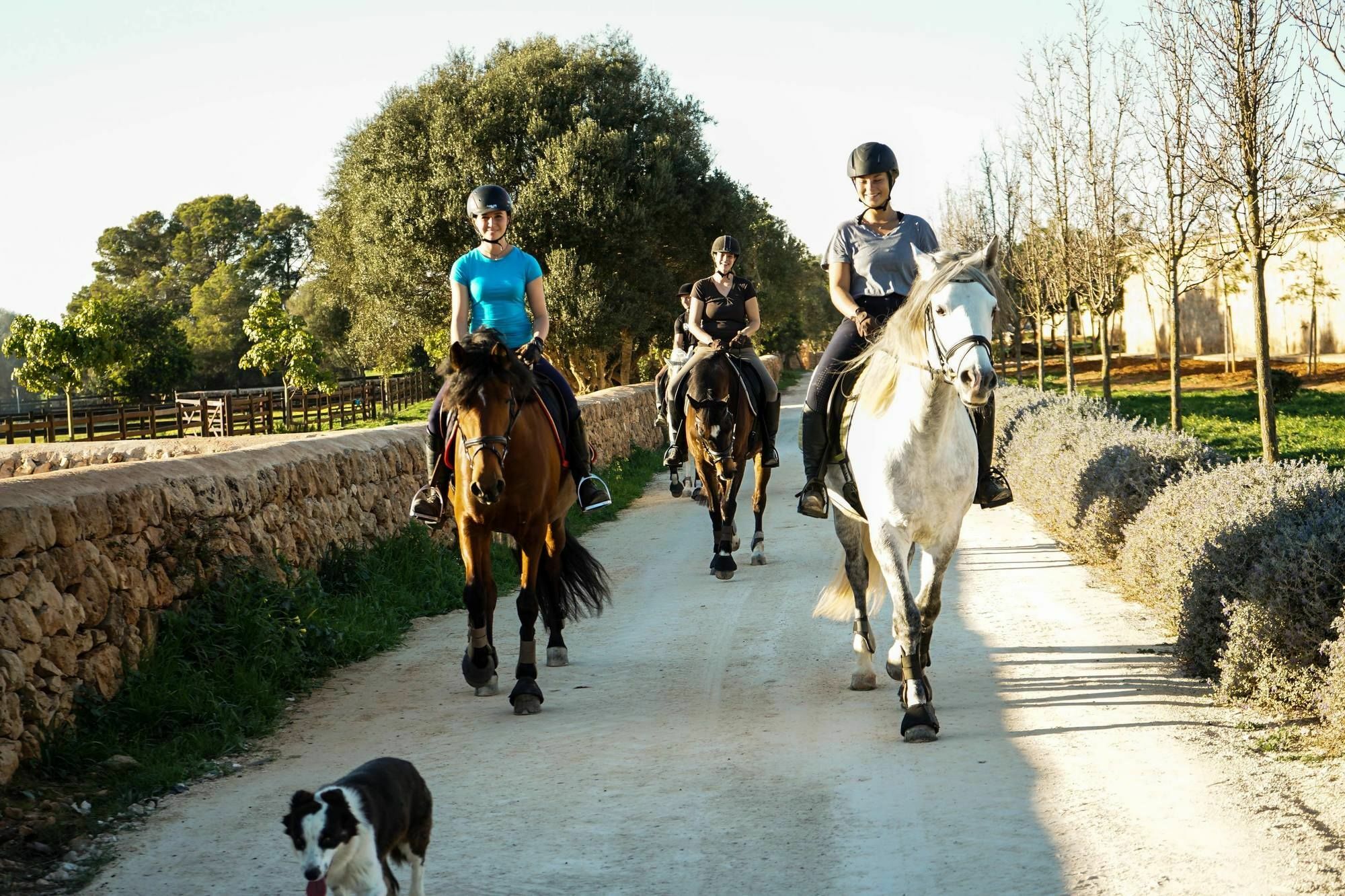 Vmg Horse Ranch (Adults Only) Llucmajor (Mallorca) Exterior foto