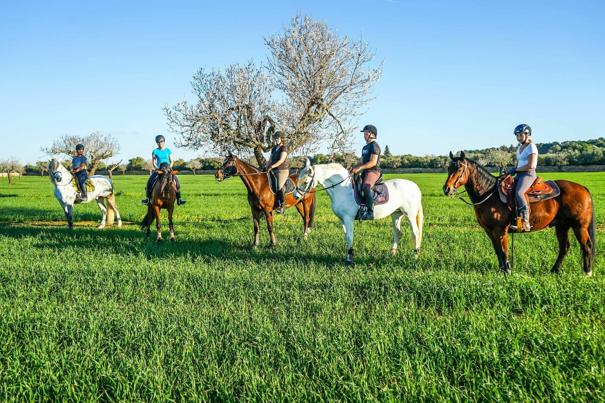 Vmg Horse Ranch (Adults Only) Llucmajor (Mallorca) Exterior foto