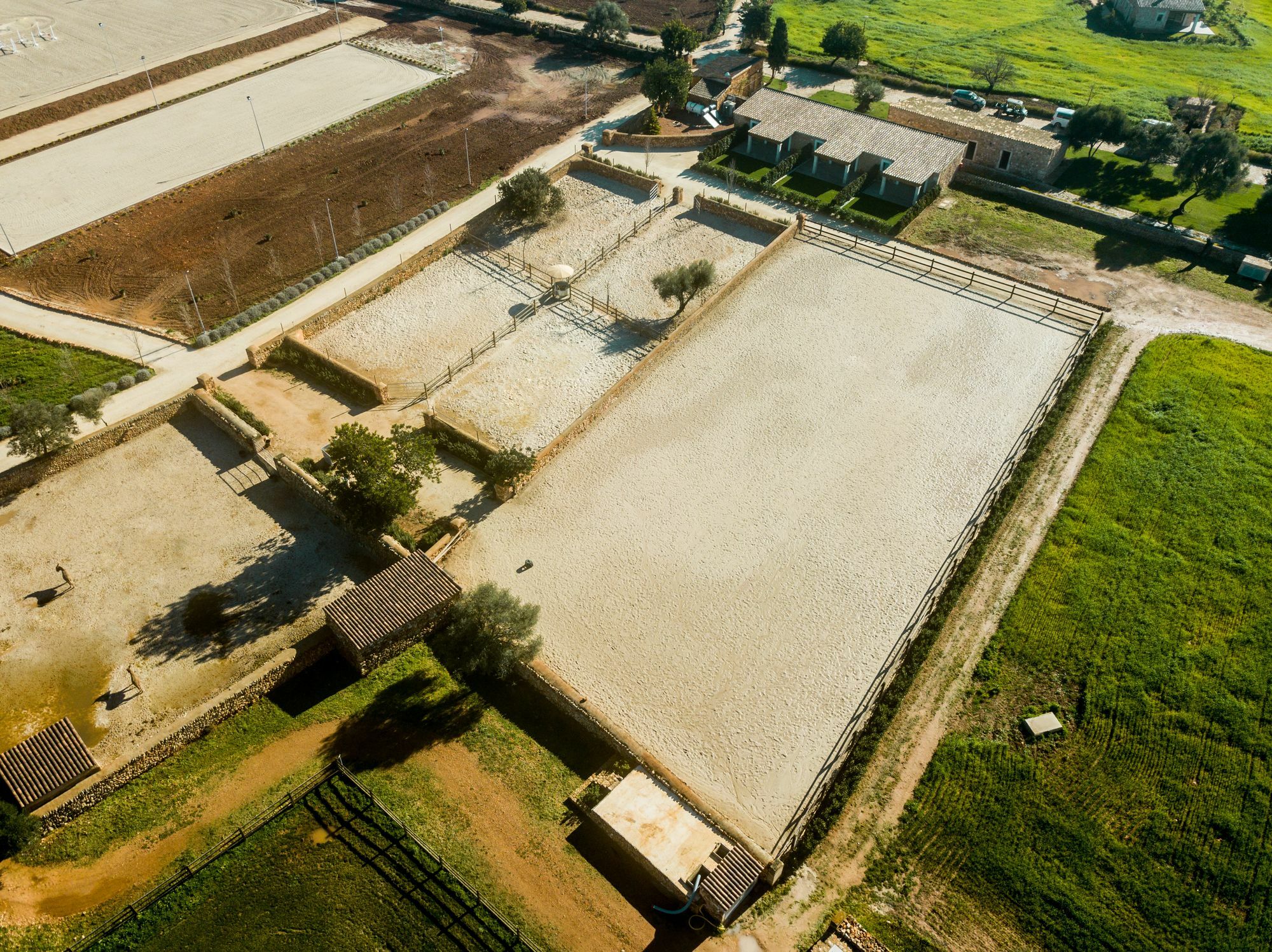 Vmg Horse Ranch (Adults Only) Llucmajor (Mallorca) Exterior foto